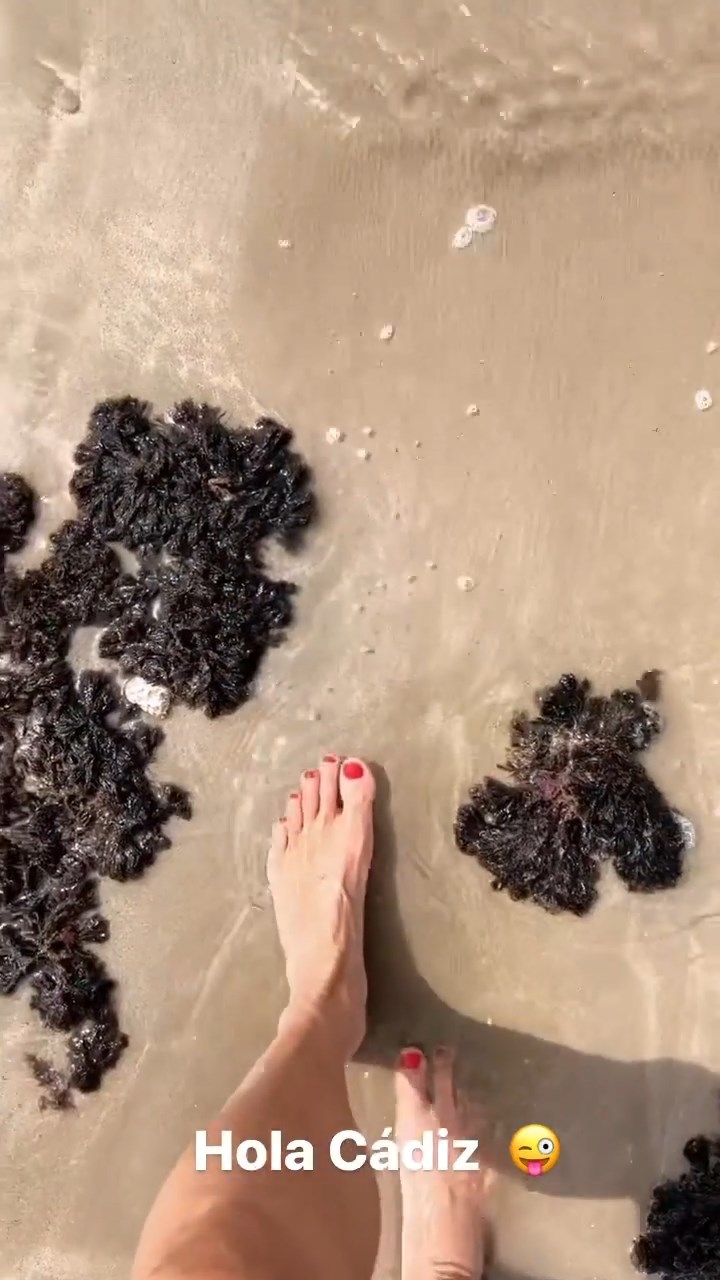 Dominika Paleta Feet